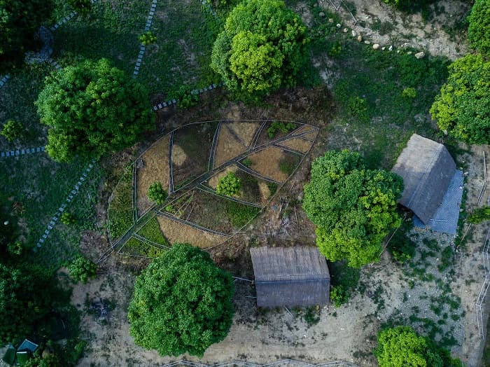 Khám phá farmstay dép tổ ong được nghệ sĩ Trường Giang ghé thăm có gì đặc biệt